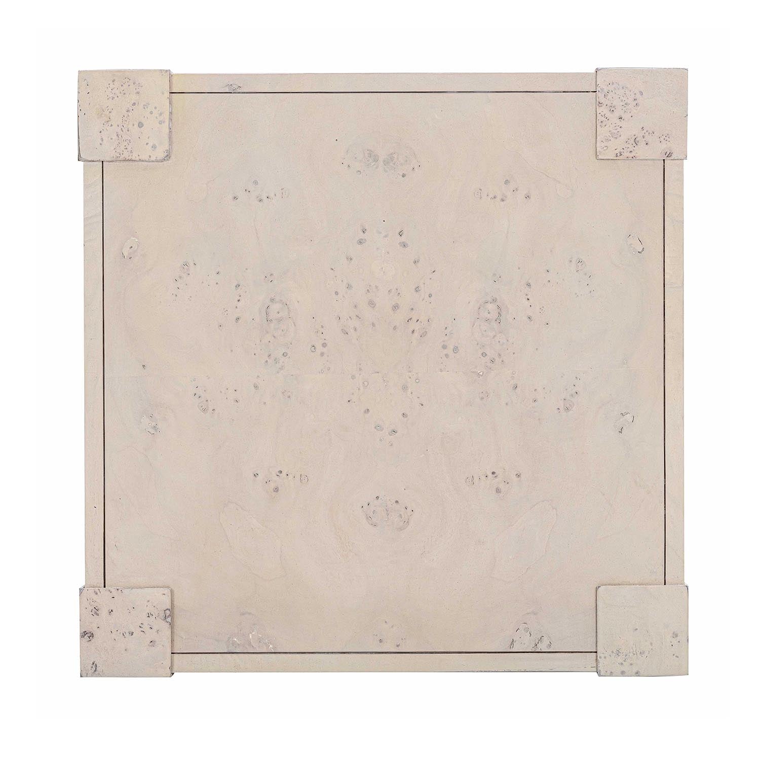 TOV Furniture Brandyss Burl End Table