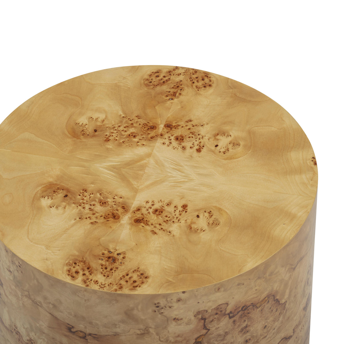 TOV Furniture Fig Natural Burl Drum Side Table