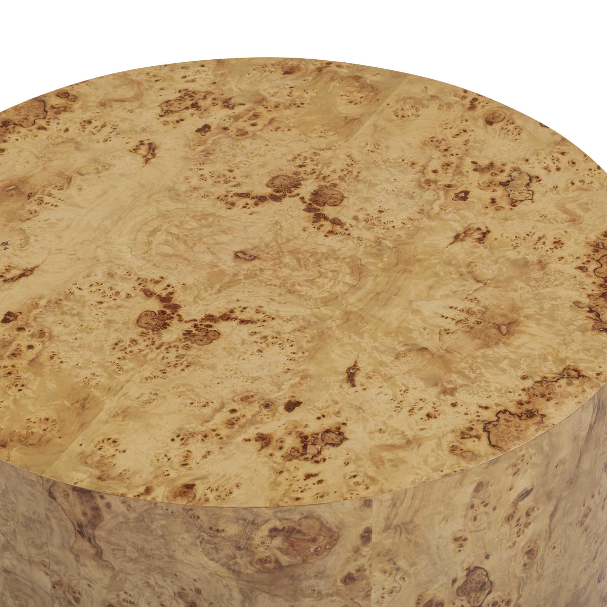 TOV Furniture Fig Natural Burl Drum Round Coffee Table