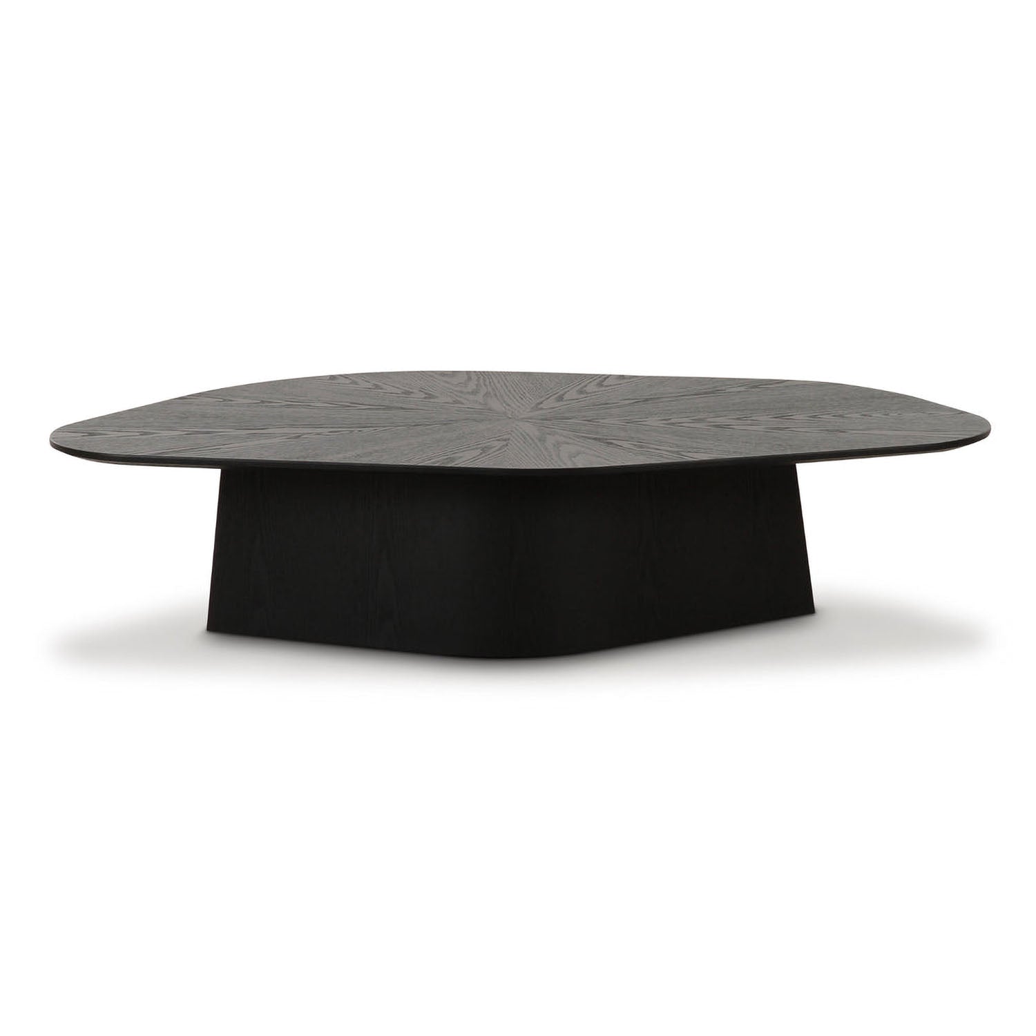 TOV Furniture Roche Black Ash Low Coffee Table
