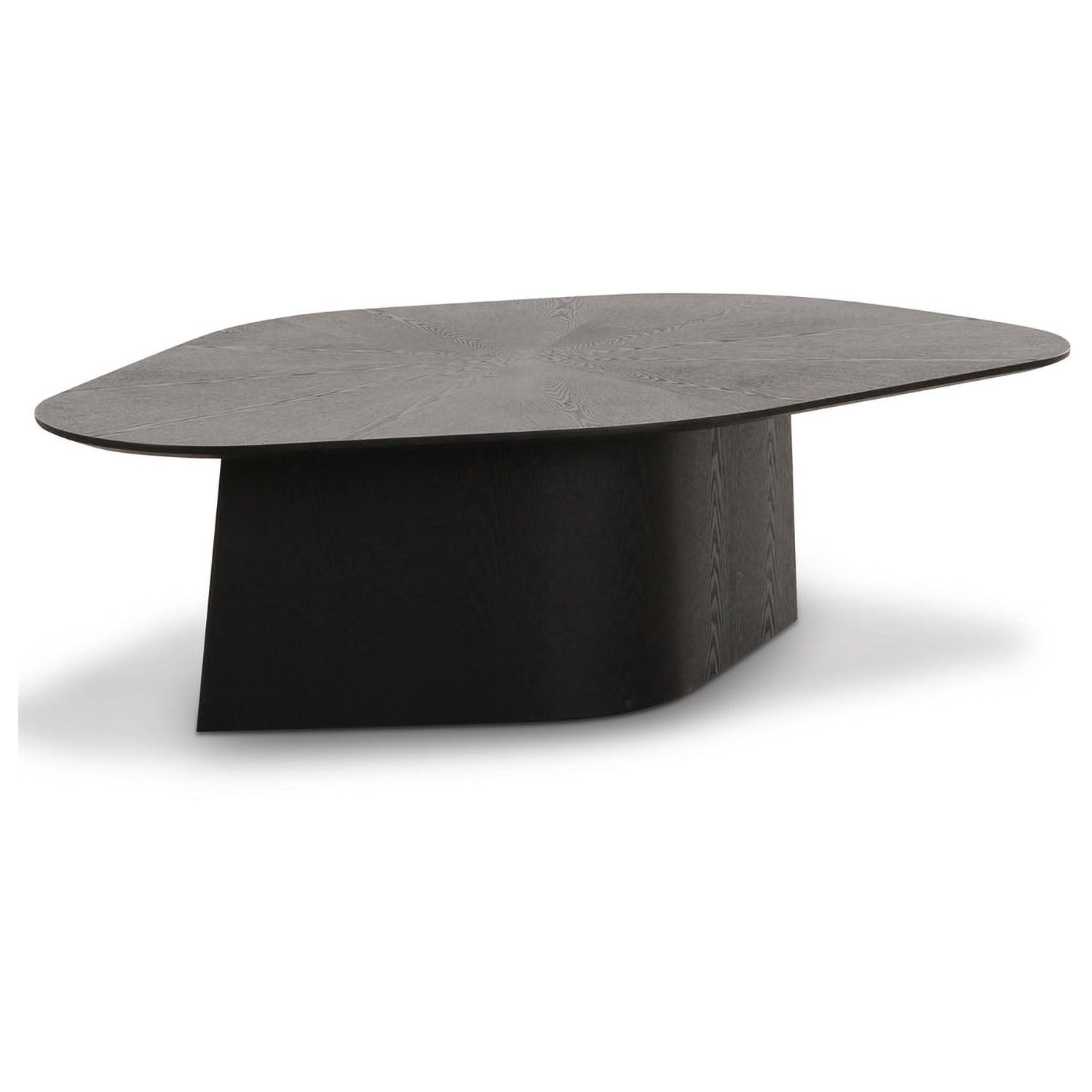 TOV Furniture Roche Black Ash Geometric Coffee Table