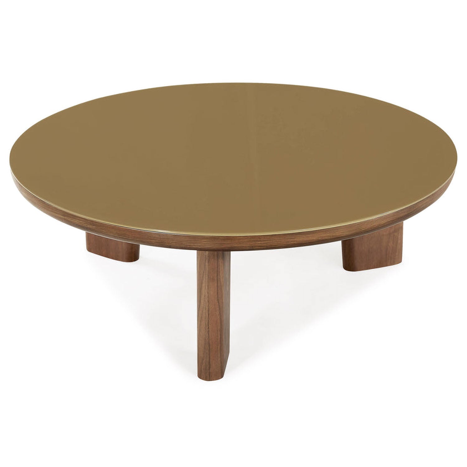 TOV Furniture Oani Walnut and Glass Round Coffee Table