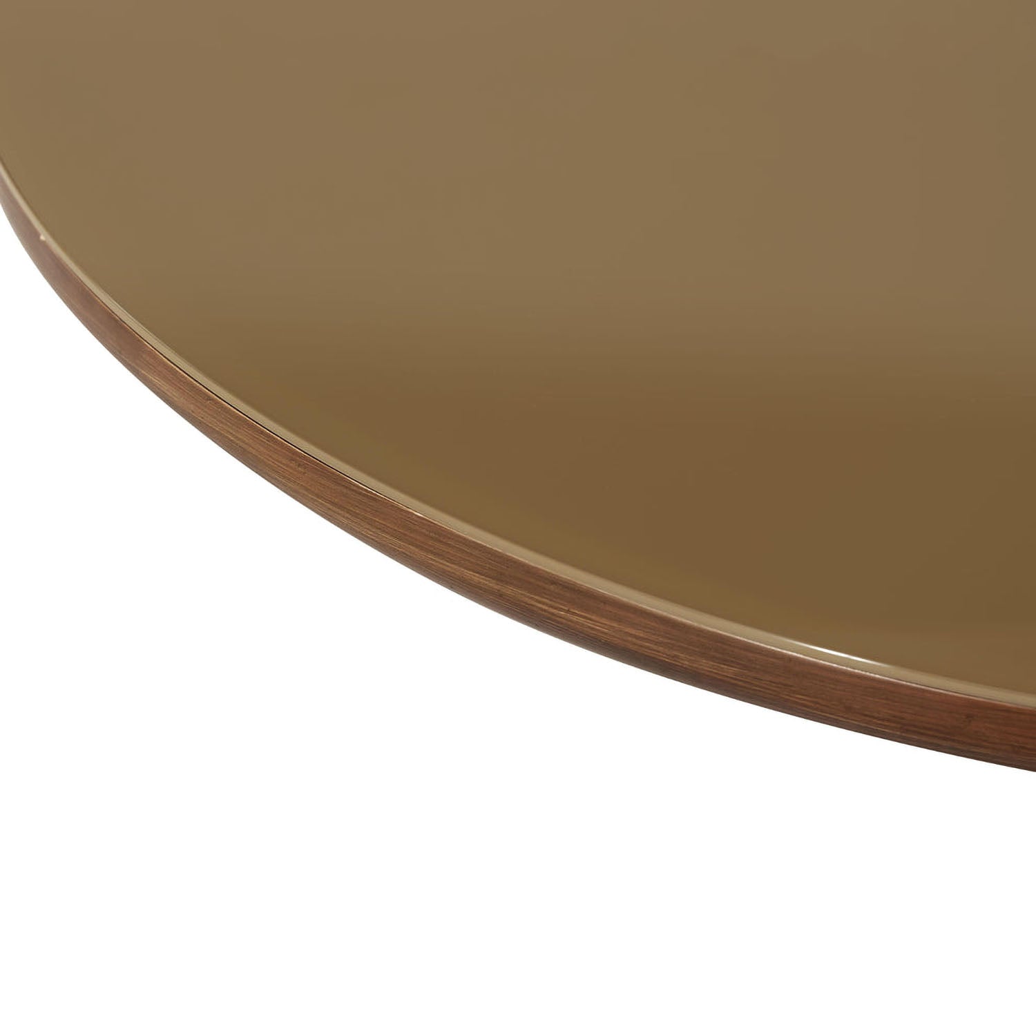 TOV Furniture Oani Walnut and Glass Round Coffee Table