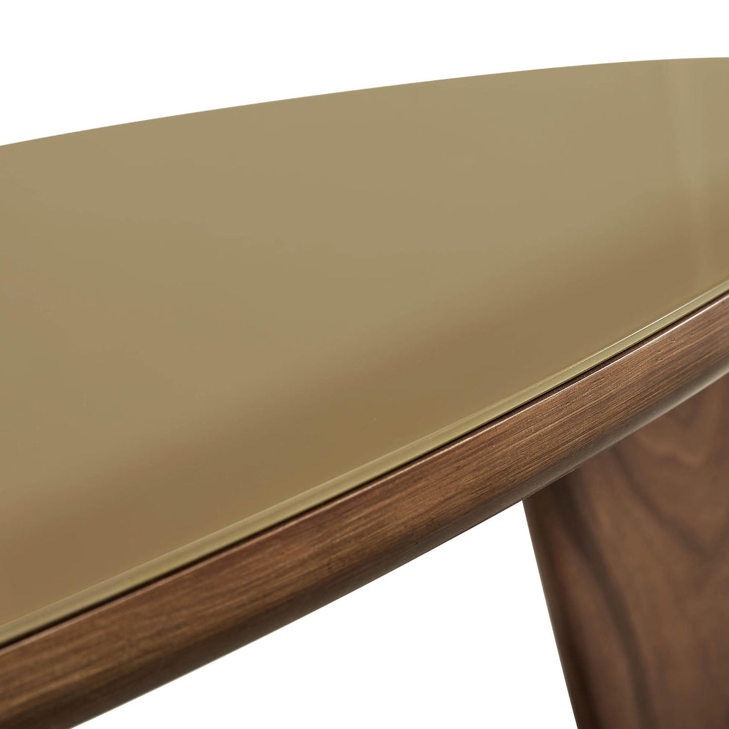 TOV Furniture Oani Walnut and Glass Triangular Coffee Table