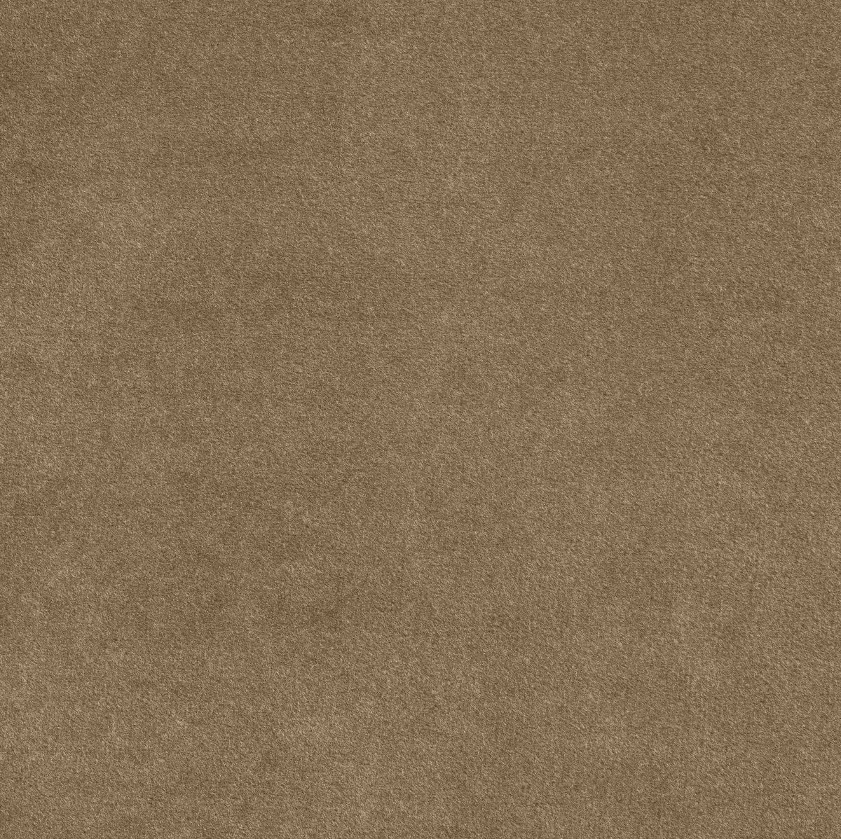 Tempo Beige Velvet Upholstered Bed
