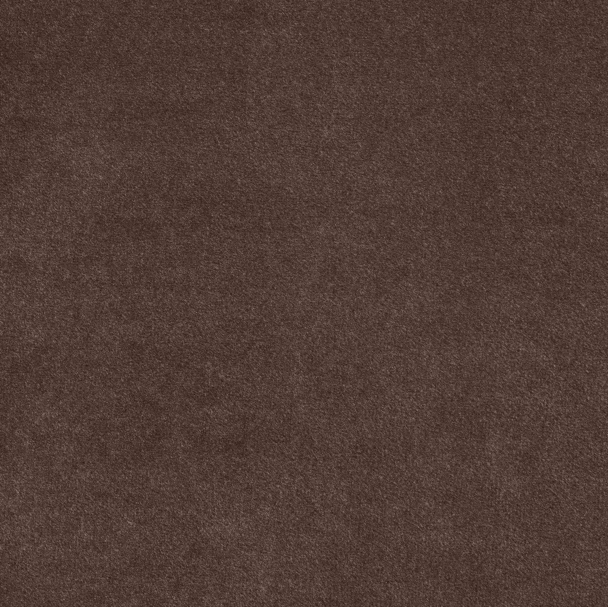 Tempo Brown Velvet Upholstered Bed