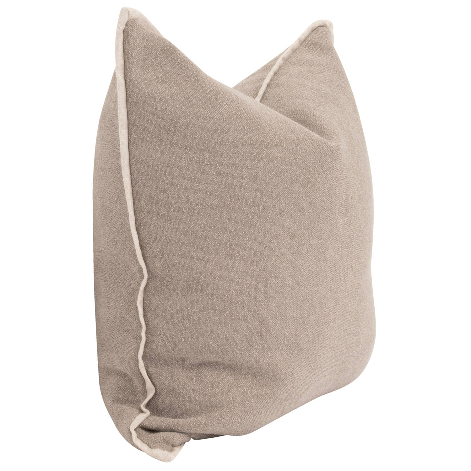 The Not So Basic 22in Essential Pillow Set of 2