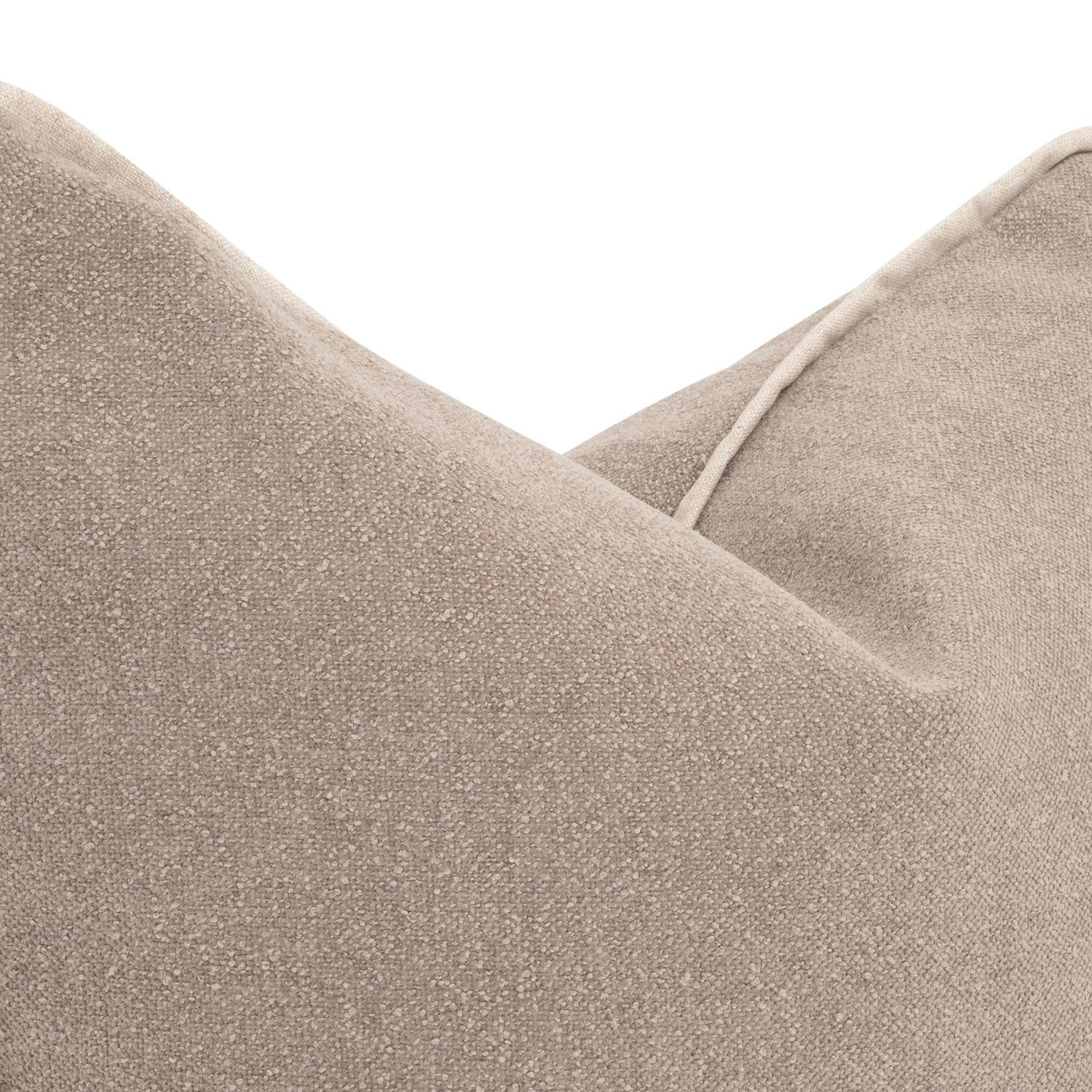 The Not So Basic 22in Essential Pillow Set of 2