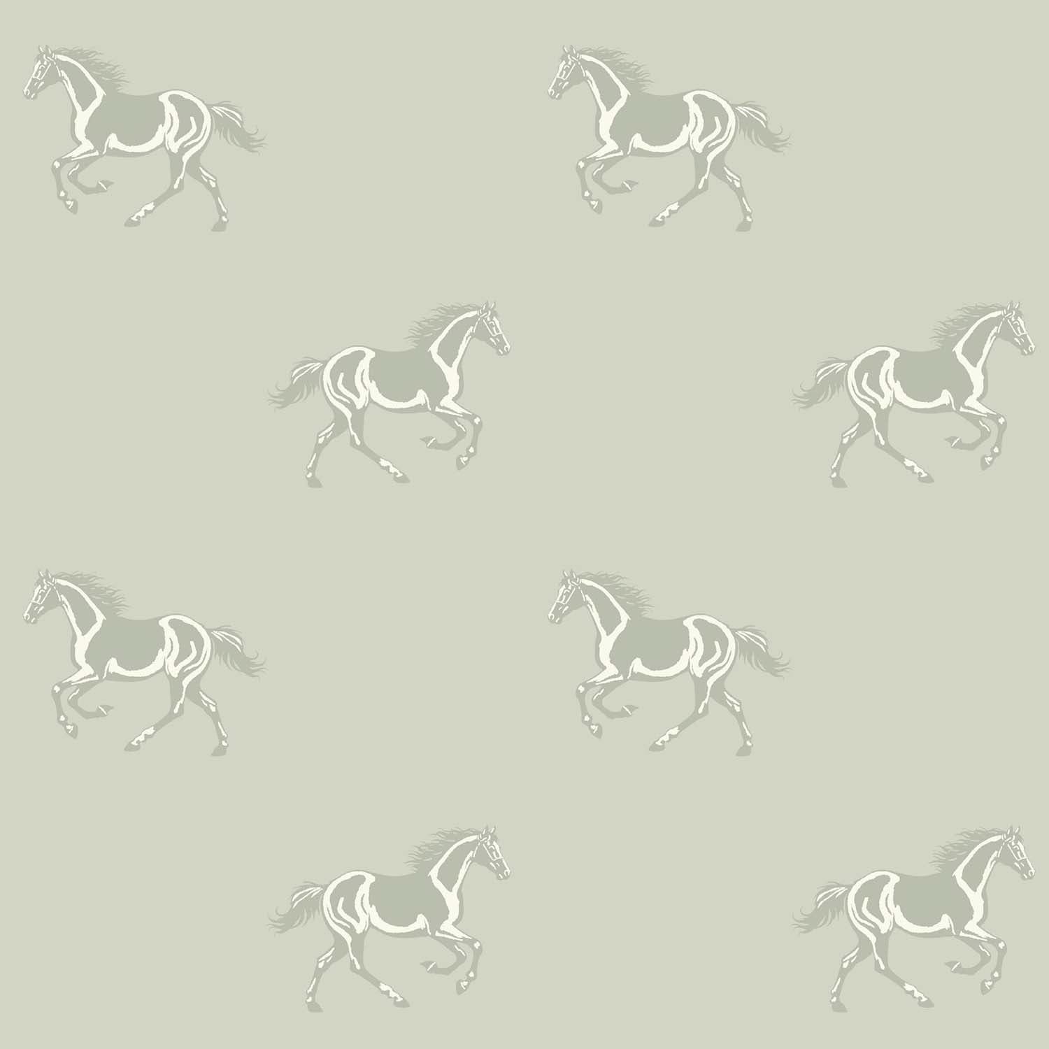 Mitchell Black Thoroughbred Wallpaper