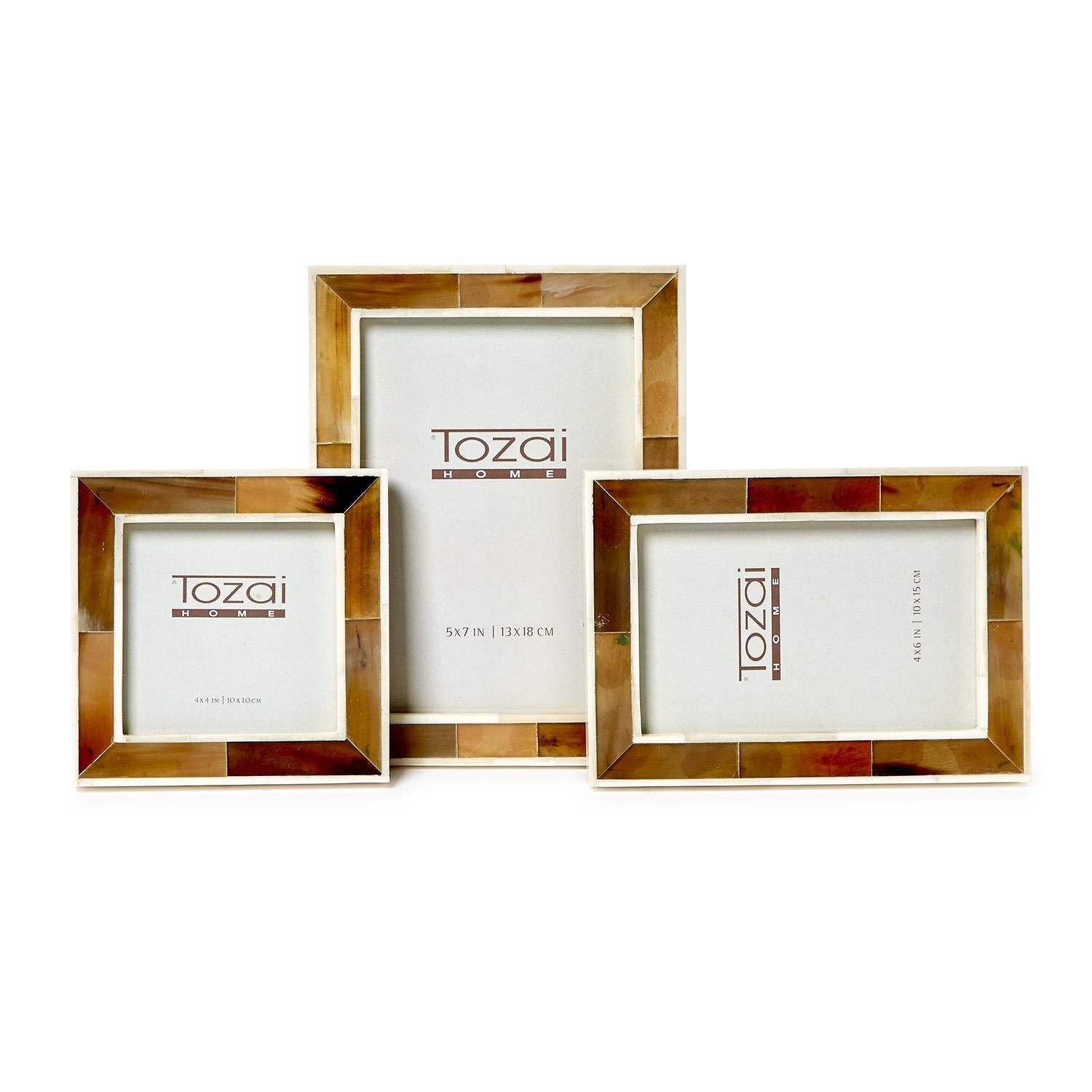 Faux Horn Photo Frame Set of 3