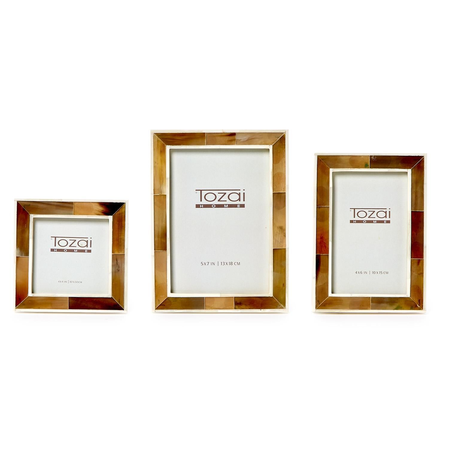 Faux Horn Photo Frame Set of 3