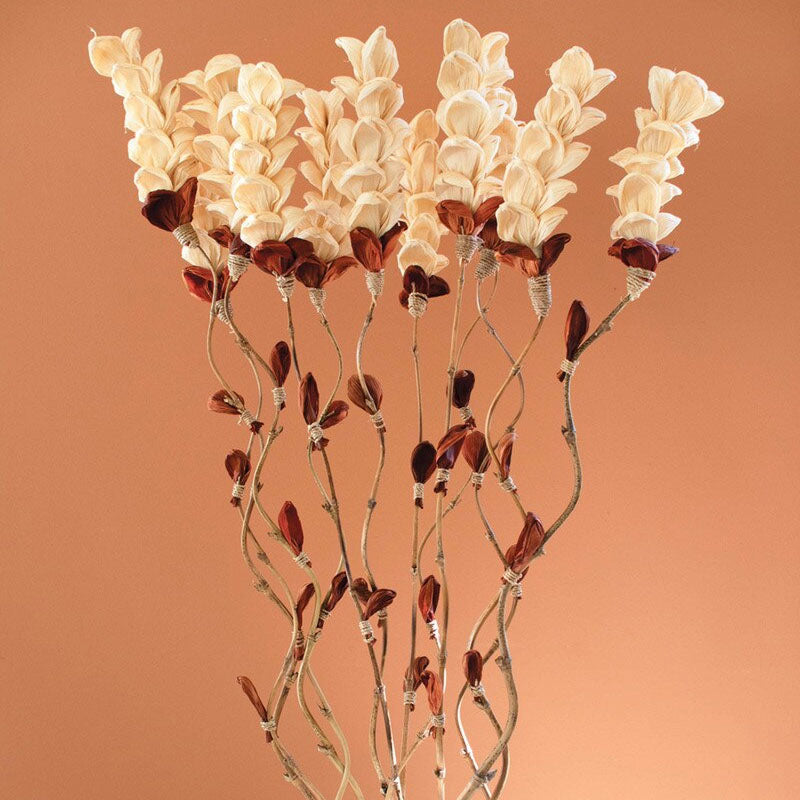 Cornhusk Botanicals Snap Dragon Set of 12