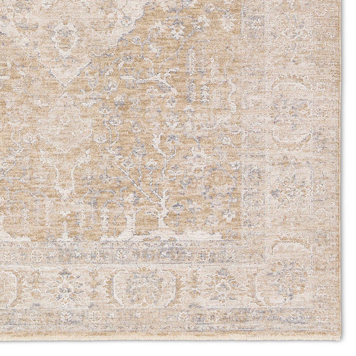 Jaipur Living Vekhea Aslan Power Loomed Rug