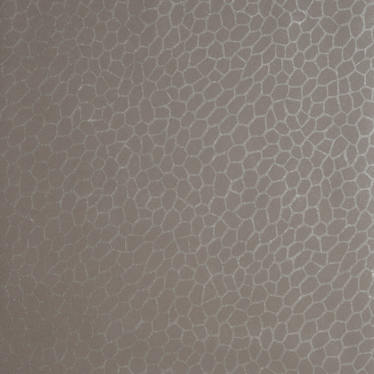 Clarke And Clarke Playa Atmosphere Wallpaper