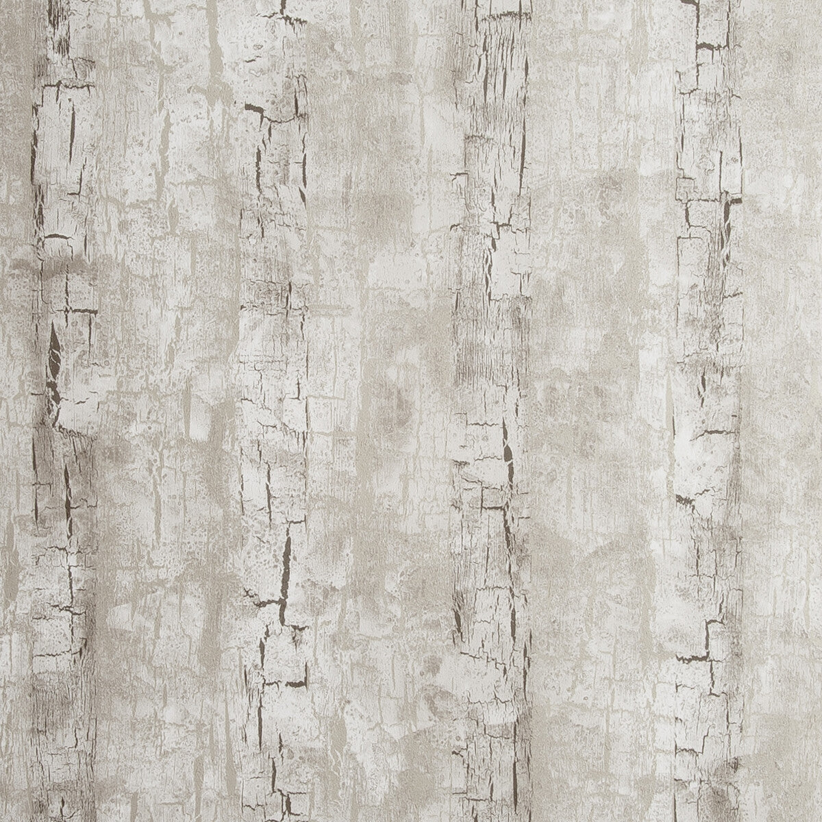 Clarke And Clarke Tree Bark Birch Wallpaper