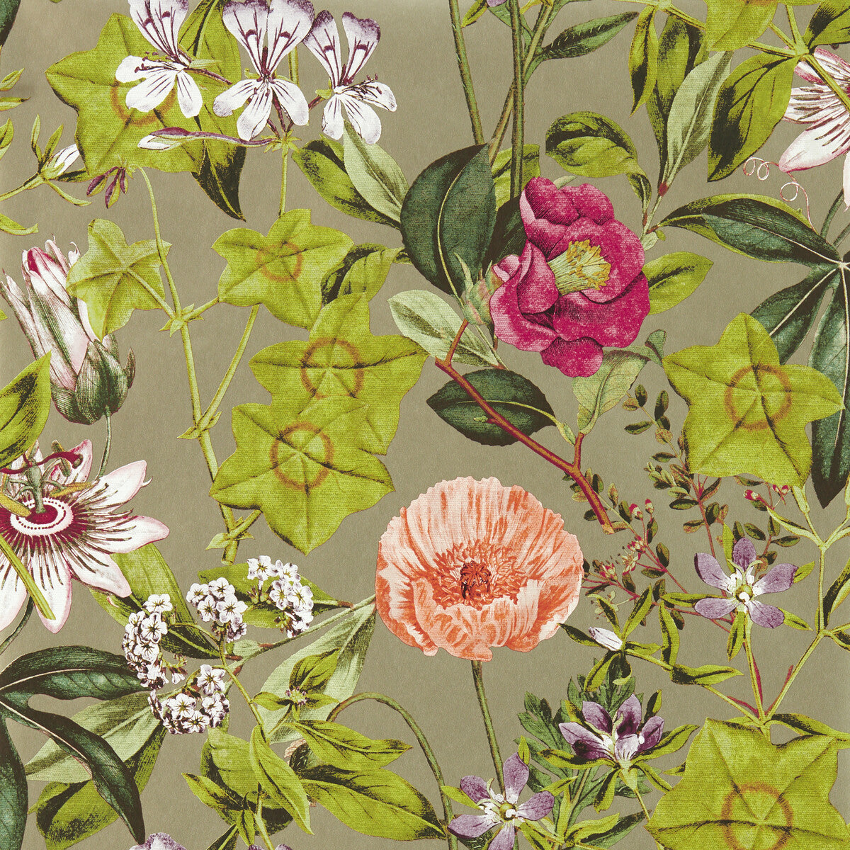Clarke And Clarke Passiflora Mulberry/Gilver Wp Wallpaper