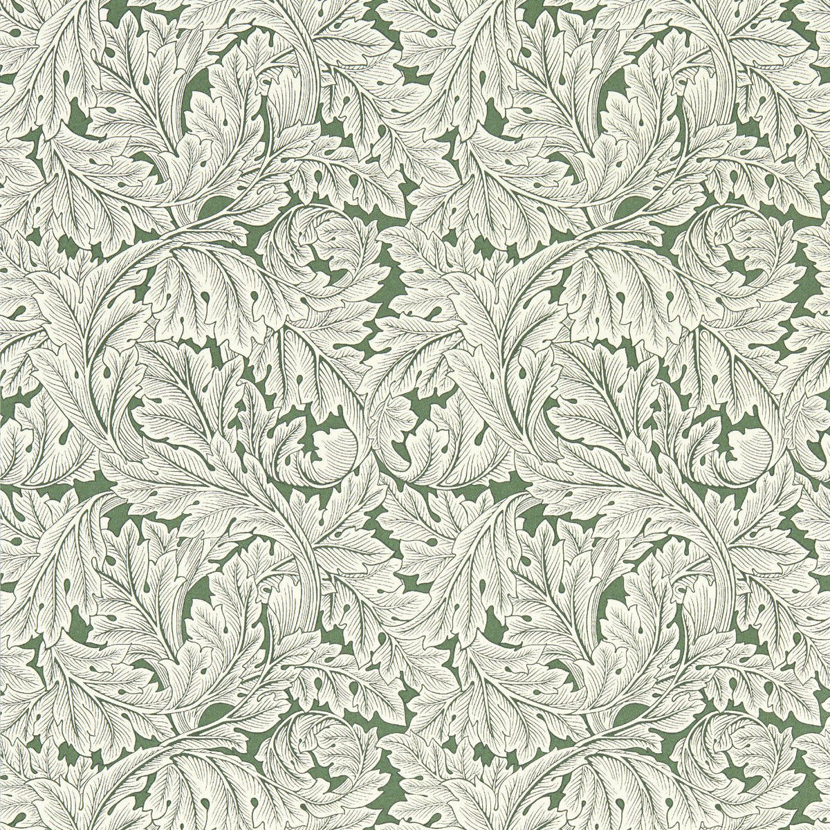 Clarke And Clarke Acanthus Sage Wp Wallpaper