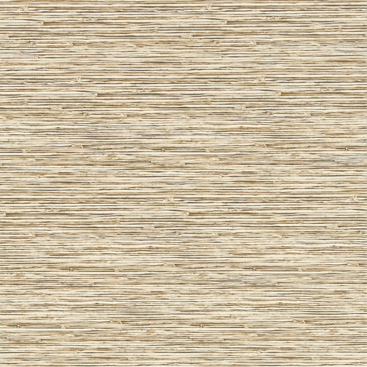 Clarke And Clarke Xan Sahara Wp Wallpaper