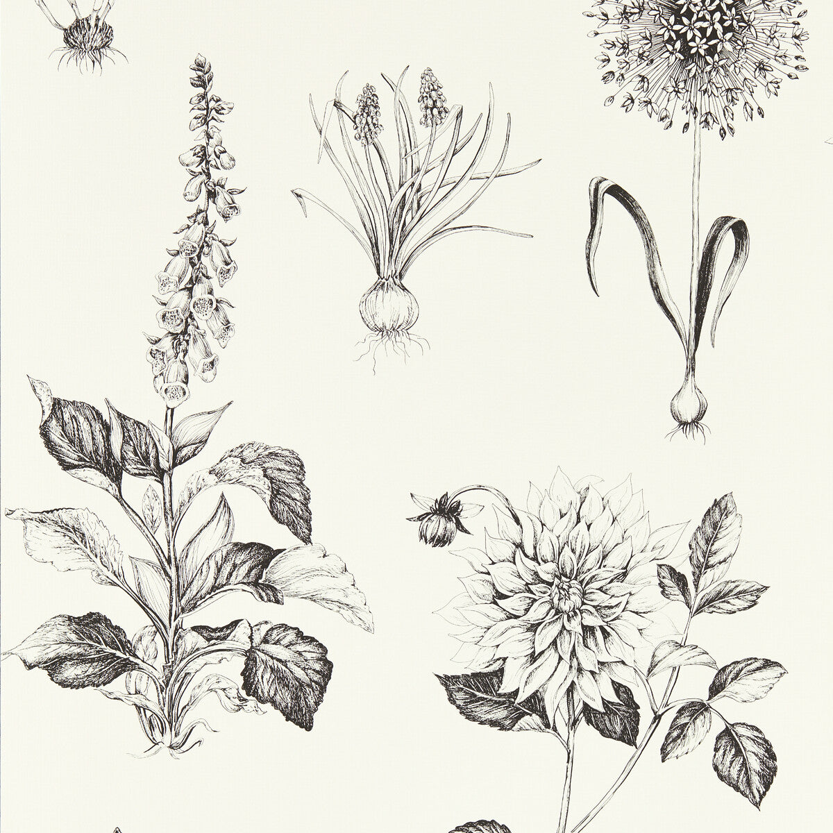 Clarke And Clarke Roseraie Charcoal Wp Wallpaper