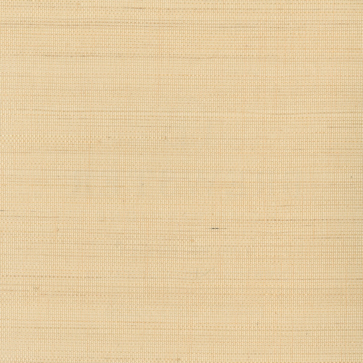 Kravet Design W3291-16 Wallpaper