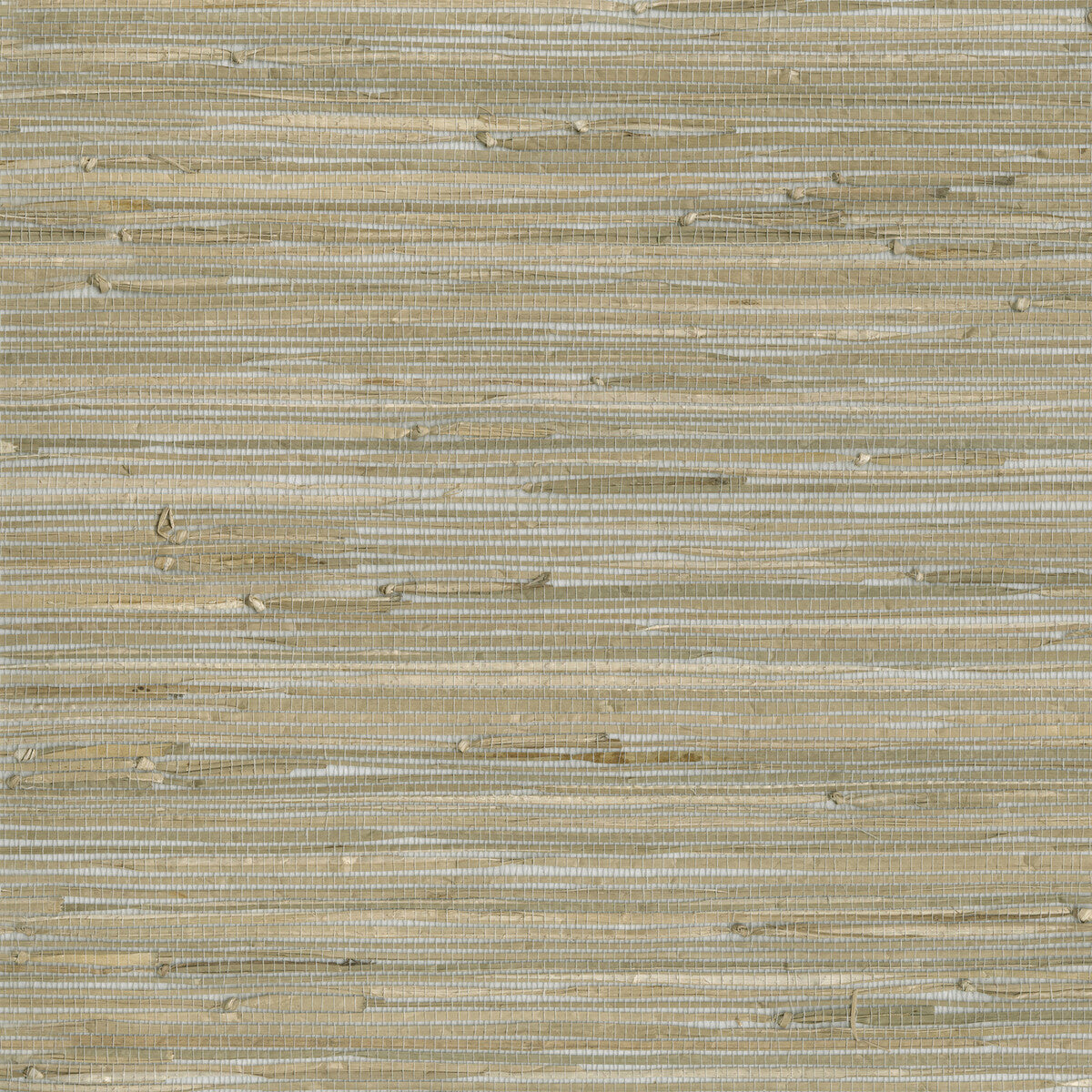 Kravet Design W3560-1611 Wallpaper