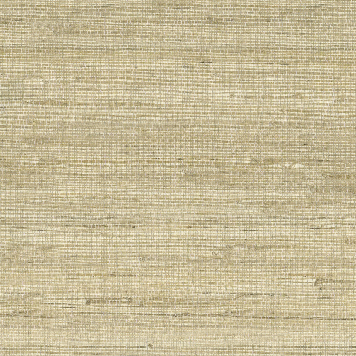 Kravet Design W3566-16 Wallpaper