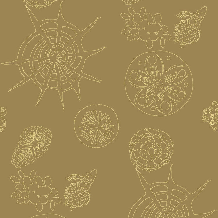 Kravet Couture Telescopic P Sanddollar Wallpaper