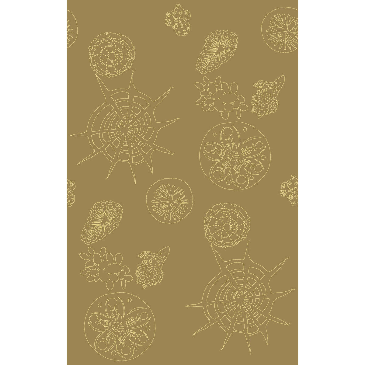 Kravet Couture Telescopic P Sanddollar Wallpaper
