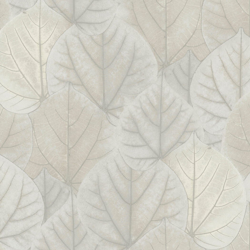 Candice Olson Modern Nature 2Nd Edition x Kravet Design W3880-1101 Wallpaper