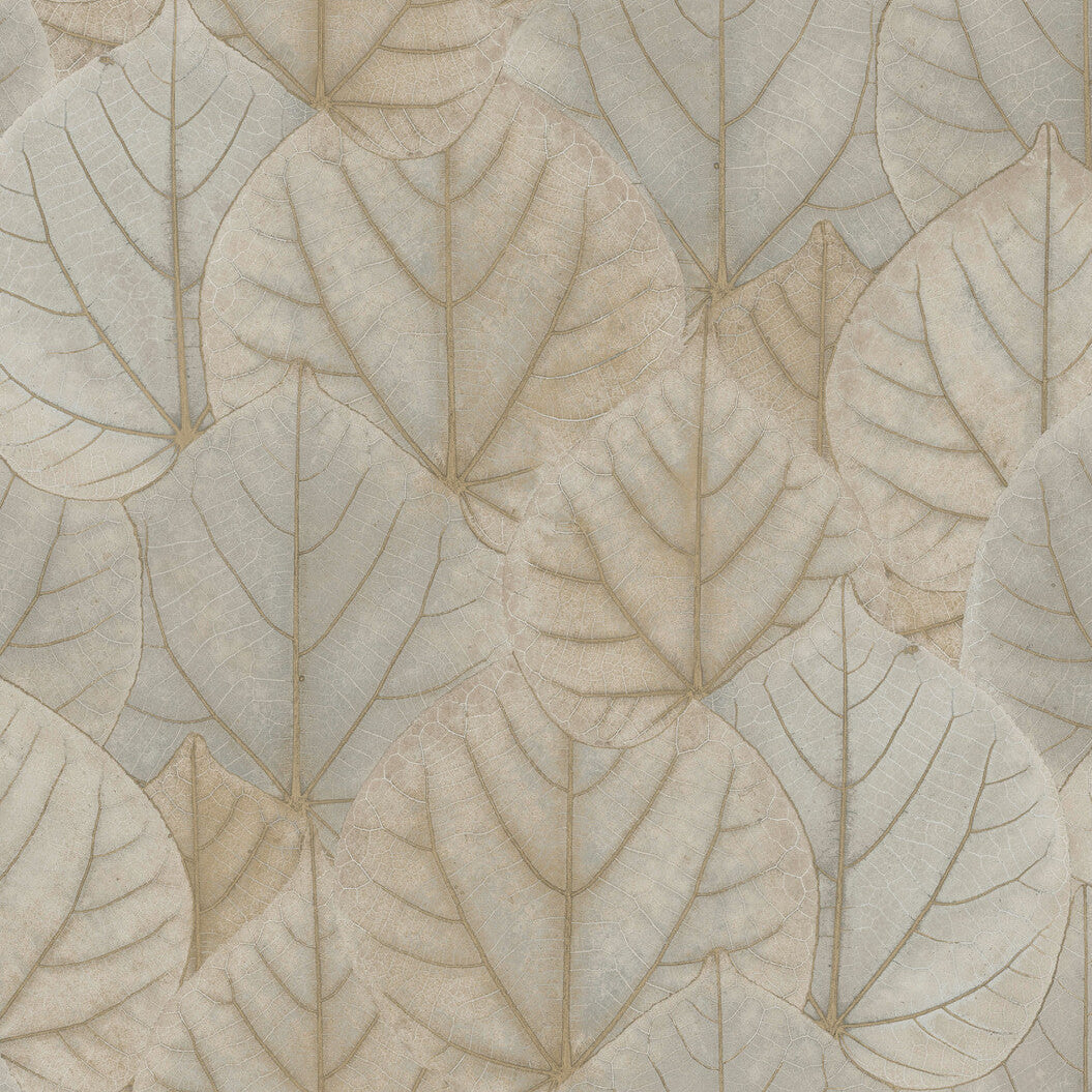 Candice Olson Modern Nature 2Nd Edition x Kravet Design W3880-1611 Wallpaper