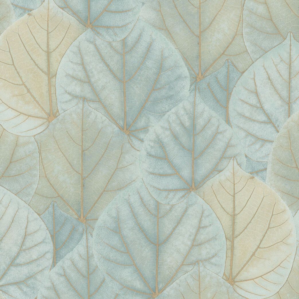 Candice Olson Modern Nature 2Nd Edition x Kravet Design W3880-30 Wallpaper