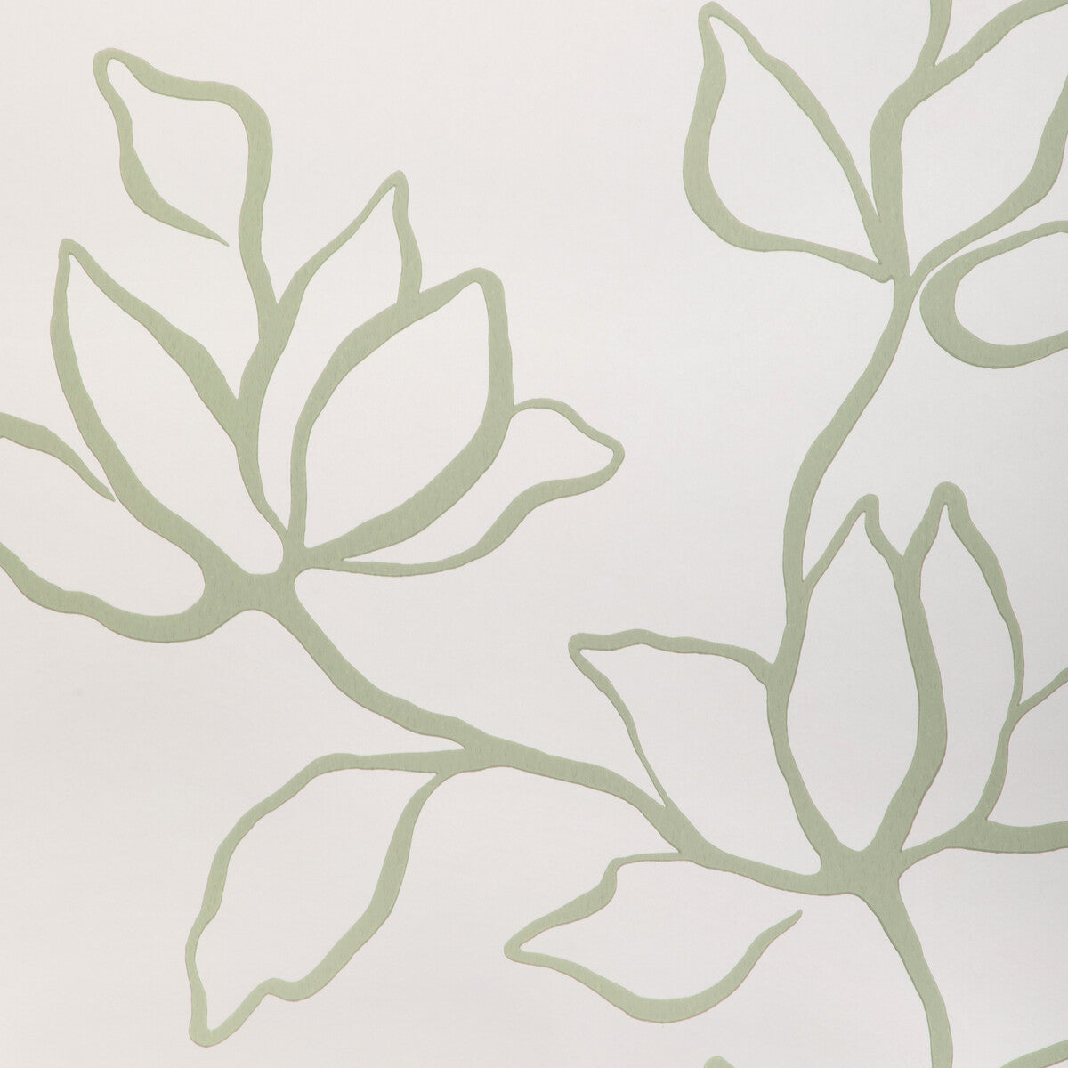 Kravet Couture Floral Sketch Wp Sage Wallpaper