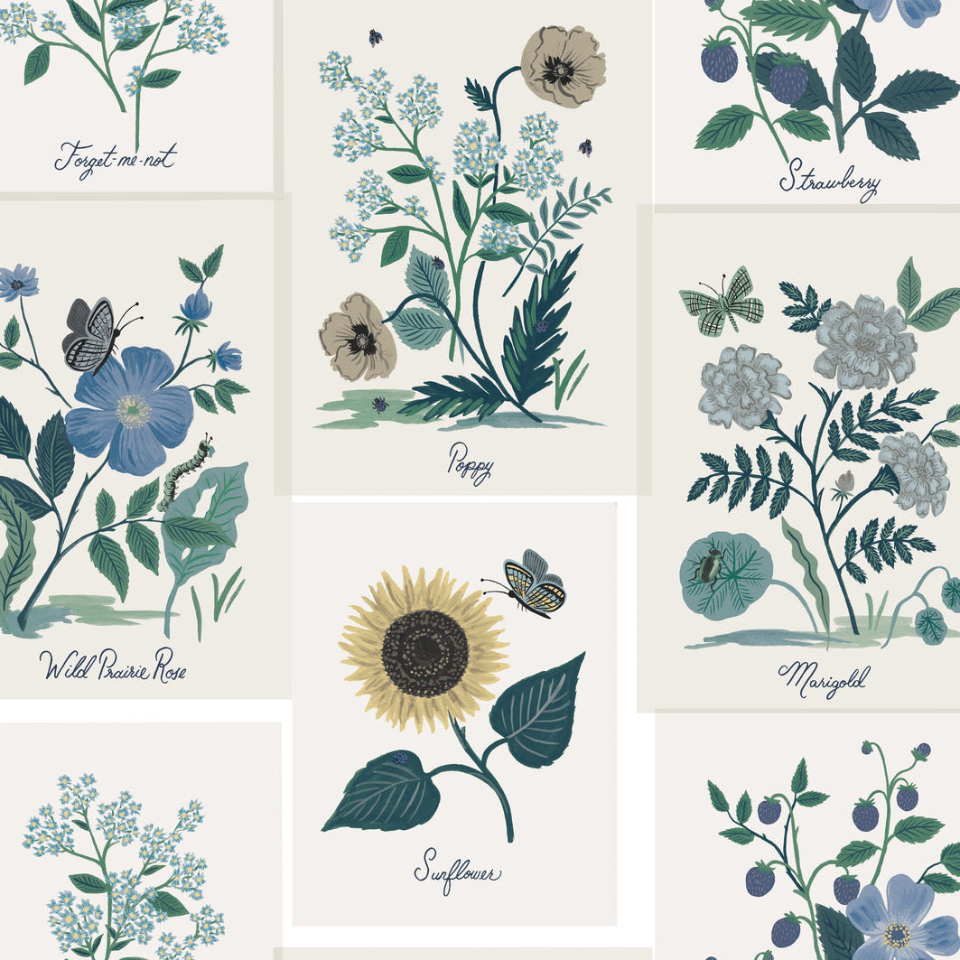 Rifle Paper Co Second Edition x Kravet Design W3947-350 Wallpaper
