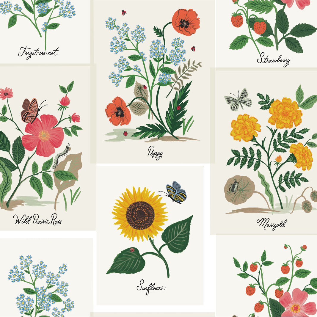 Rifle Paper Co Second Edition x Kravet Design W3947-73 Wallpaper