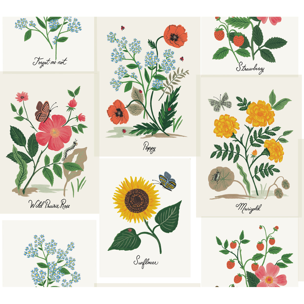 Rifle Paper Co Second Edition x Kravet Design W3947-73 Wallpaper