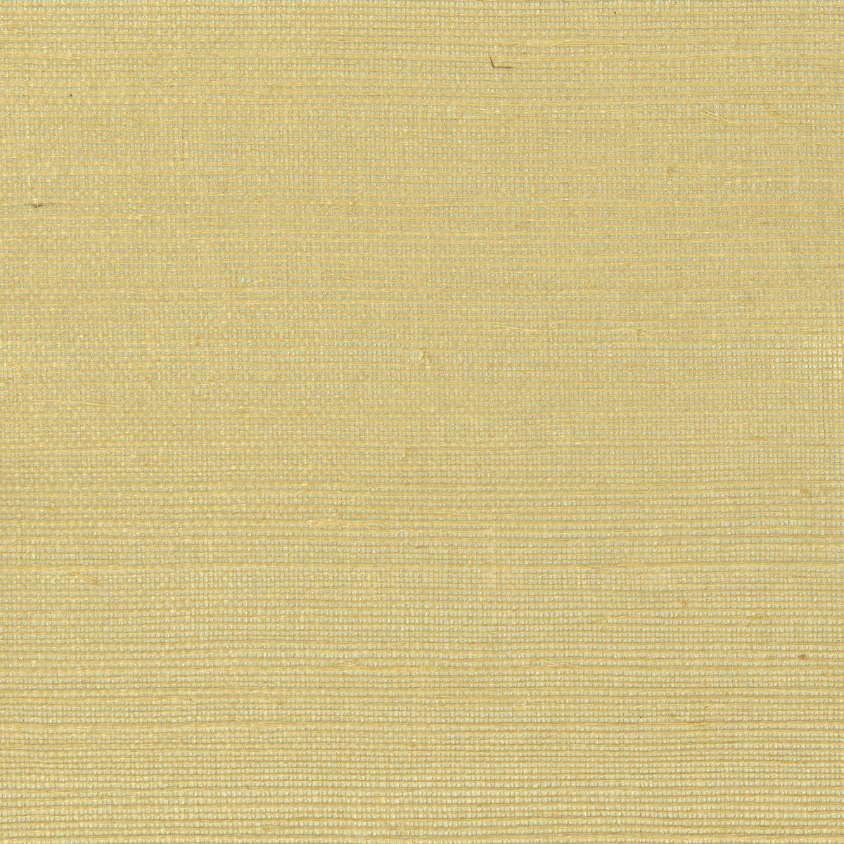 Elements Ii Naturals x Kravet Design W4003-40 Wallpaper
