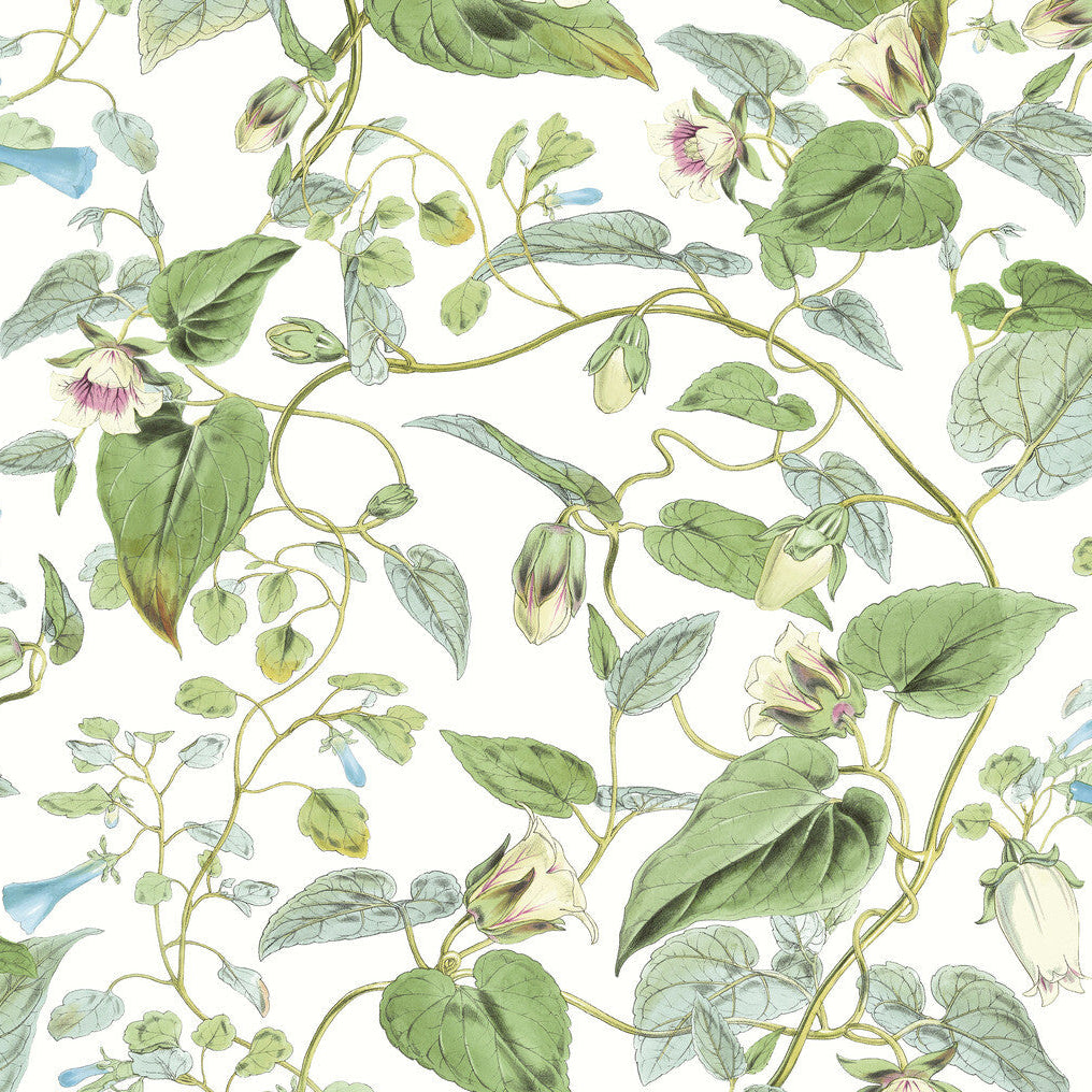 Blooms Second Edition Resource Library x Kravet Design W4132-31 Wallpaper