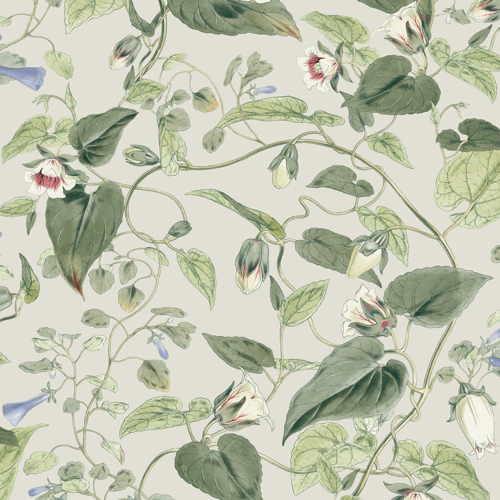 Blooms Second Edition Resource Library x Kravet Design W4132-315 Wallpaper