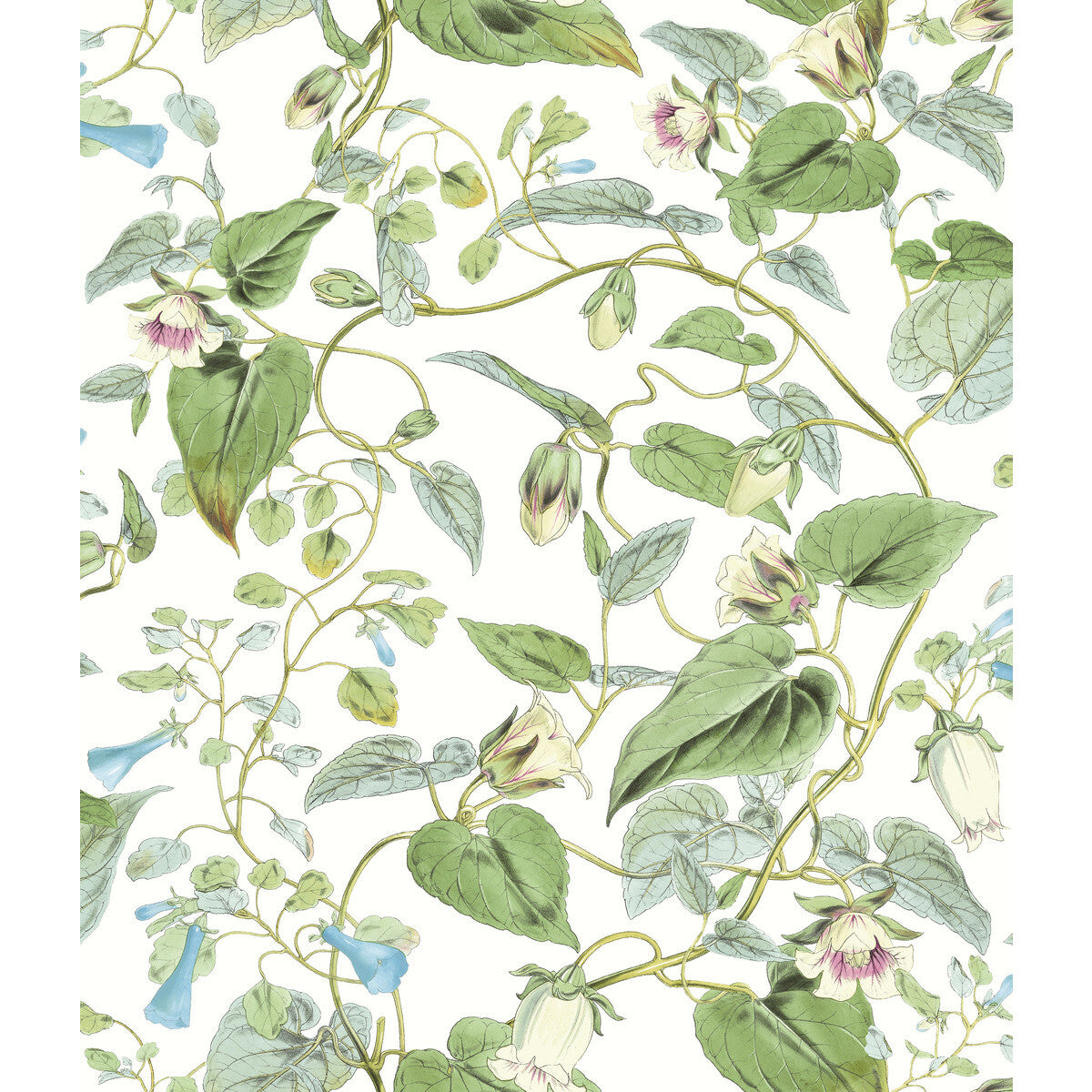 Blooms Second Edition Resource Library x Kravet Design W4132-31 Wallpaper