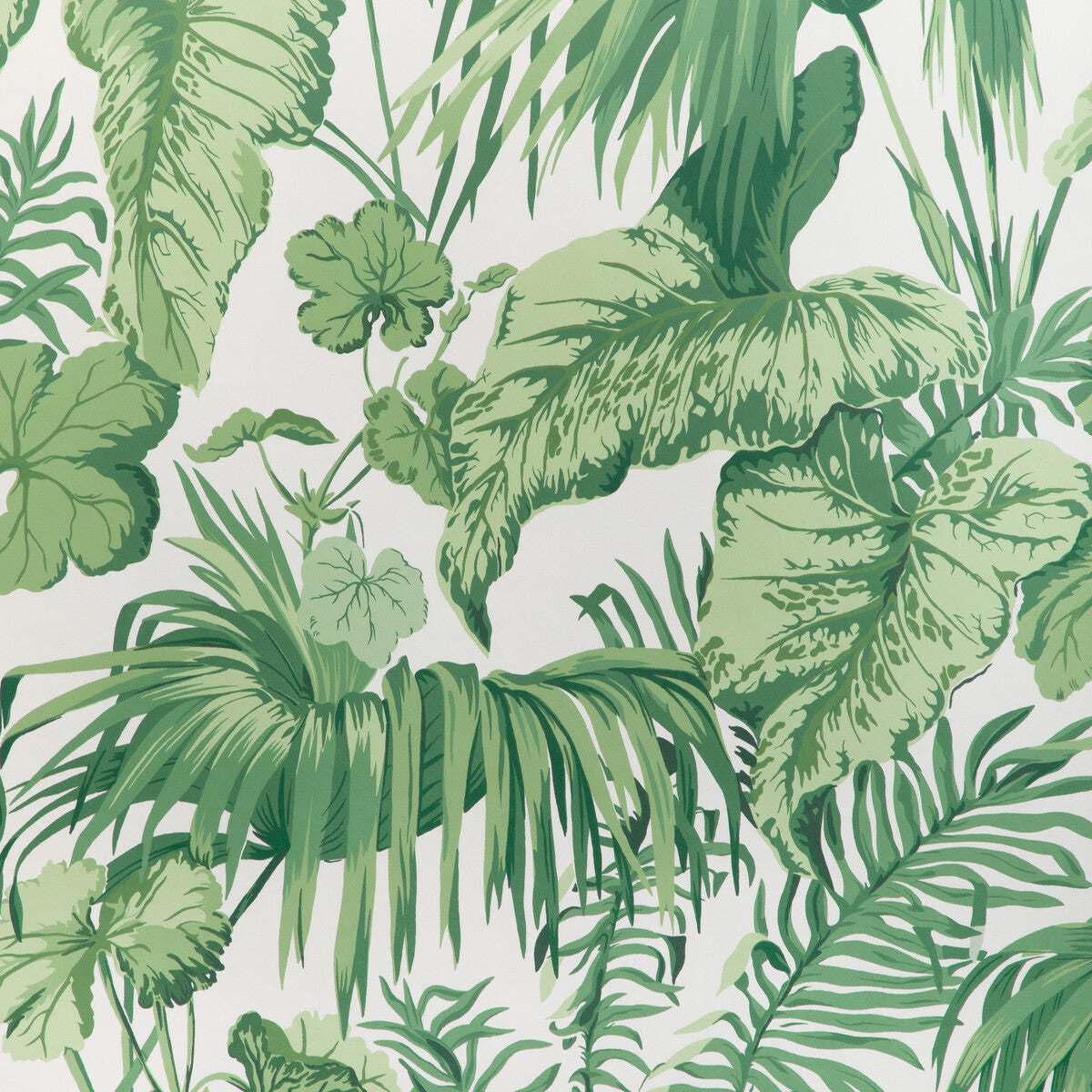 Kravet Couture Yasuni Wp Verde Wallpaper