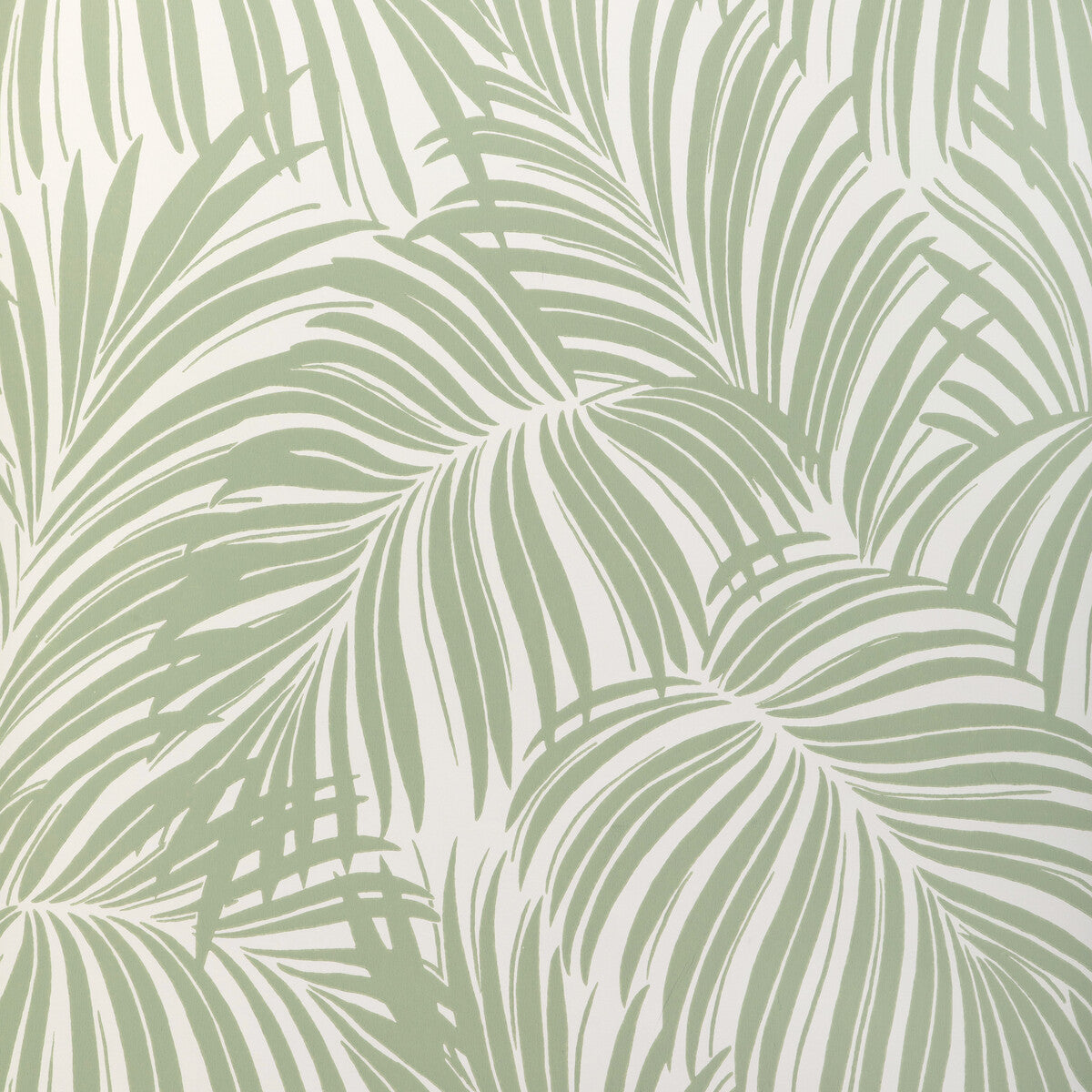 Kravet Couture Palm Leaf Wp Light Green Wallpaper