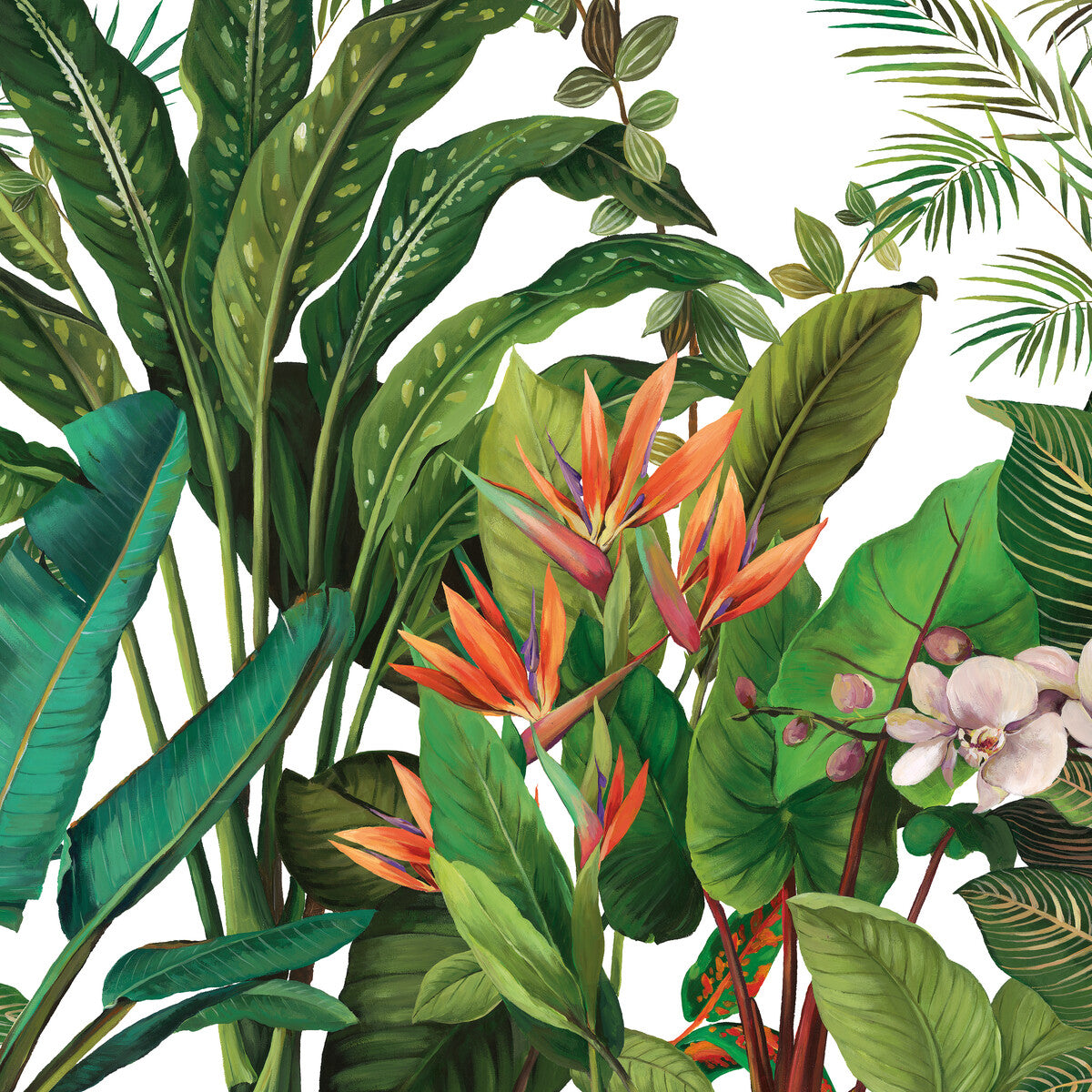 Kravet Design Panel Designs W4180-312 Wallpaper