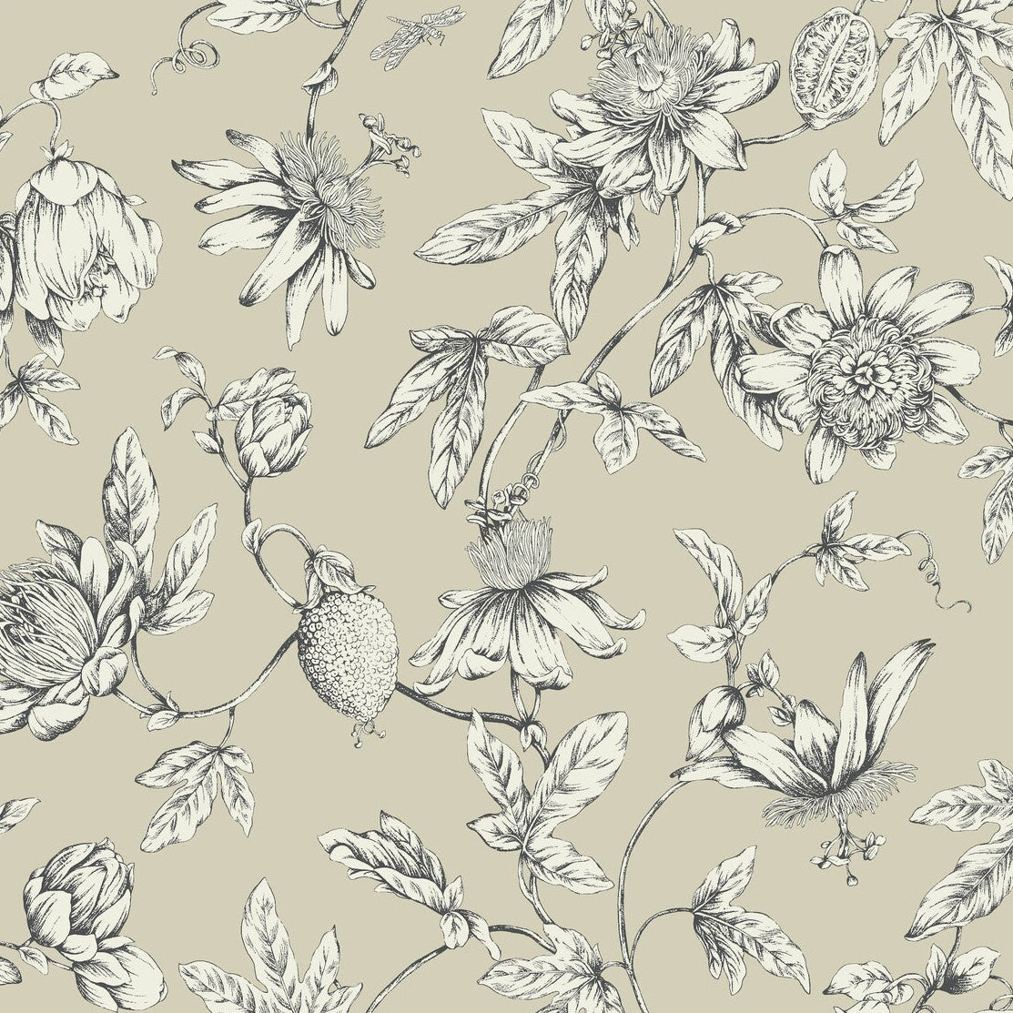 Toiles Resource Library x Kravet Design W4240-16 Wallpaper