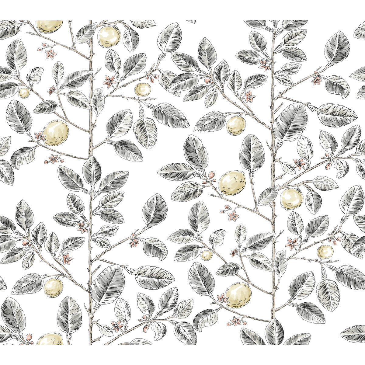 Toiles Resource Library x Kravet Design W4241-21 Wallpaper