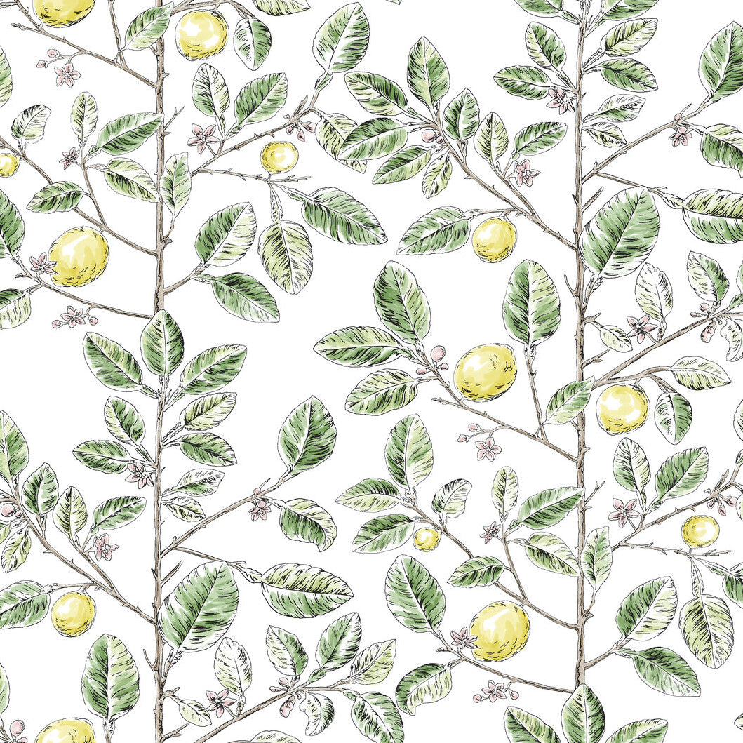 Toiles Resource Library x Kravet Design W4241-340 Wallpaper