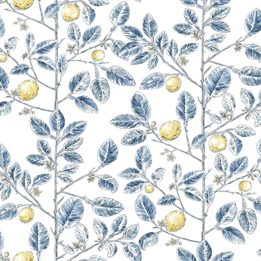 Toiles Resource Library x Kravet Design W4241-540 Wallpaper