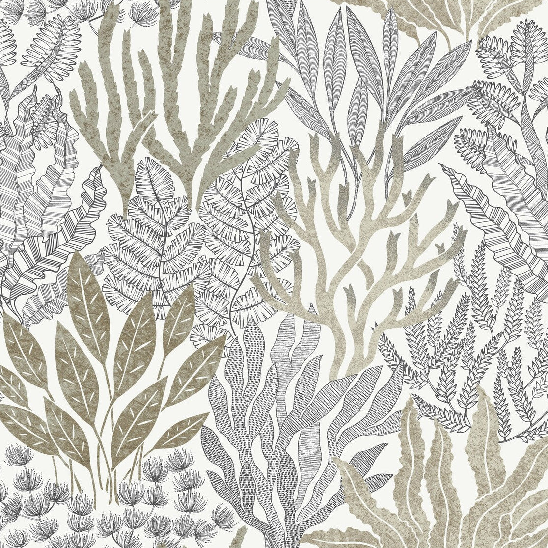 Toiles Resource Library x Kravet Design W4246-106 Wallpaper