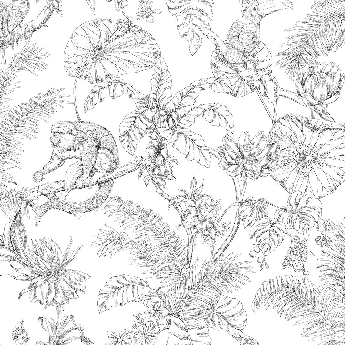Toiles Resource Library x Kravet Design W4250-8 Wallpaper