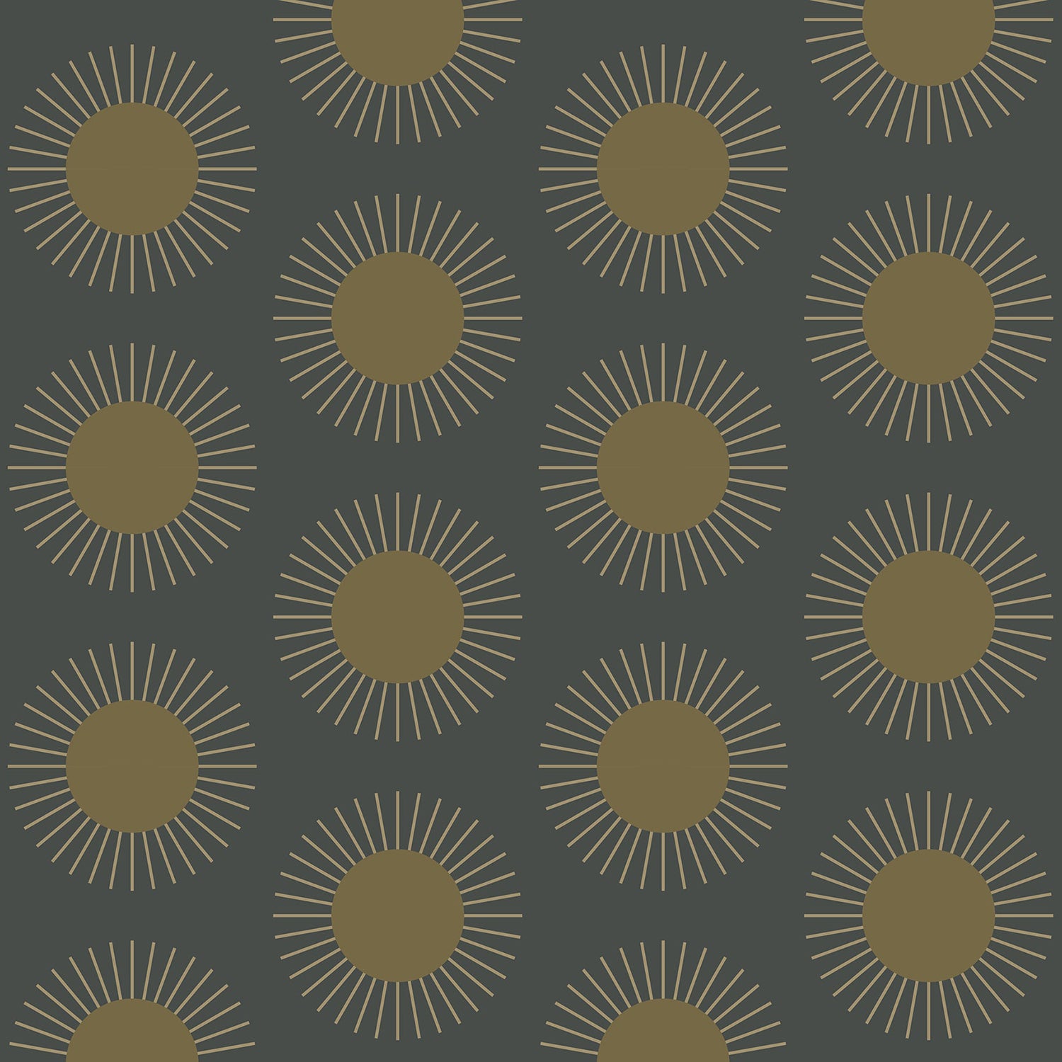 Mitchell Black Sunburst Wallpaper