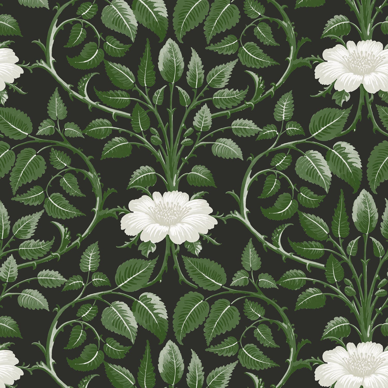 Mitchell Black Garden Vine Wallpaper